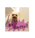 れもんのスタンプ（個別スタンプ：7）