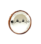 I'm coconut 2（個別スタンプ：1）