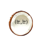 I'm coconut 2（個別スタンプ：5）