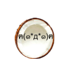 I'm coconut 2（個別スタンプ：7）
