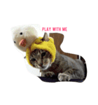 with cute cats（個別スタンプ：2）