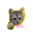 with cute cats（個別スタンプ：12）