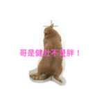 with cute cats（個別スタンプ：15）