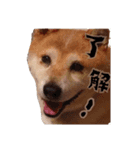 クリ2（個別スタンプ：2）