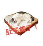 Love MM（個別スタンプ：1）