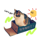 Love MM（個別スタンプ：4）