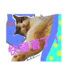 Love MM（個別スタンプ：5）