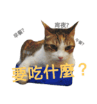 Love MM（個別スタンプ：7）
