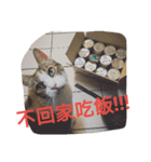 Love MM（個別スタンプ：8）