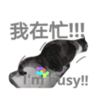 Love MM（個別スタンプ：9）