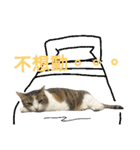 Love MM（個別スタンプ：10）