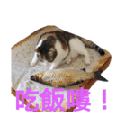 Love MM（個別スタンプ：11）