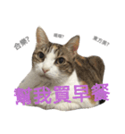 Love MM（個別スタンプ：13）
