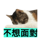 Love MM（個別スタンプ：15）