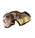 ぶーちゃん.（個別スタンプ：16）