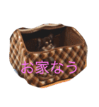 わんことにゃんこと時々亀（個別スタンプ：13）