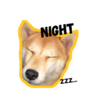 Dog Diary : First（個別スタンプ：7）