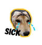 Dog Diary : First（個別スタンプ：9）