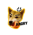 Dog Diary : First（個別スタンプ：13）