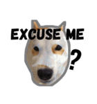 Dog Diary : First（個別スタンプ：14）