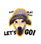 Dog Diary : First（個別スタンプ：15）