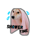 Dog Diary : First（個別スタンプ：18）