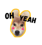 Dog Diary : First（個別スタンプ：19）