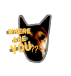 Dog Diary : First（個別スタンプ：20）