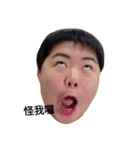 pig pig ting（個別スタンプ：2）
