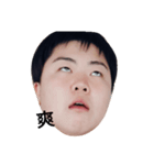 pig pig ting（個別スタンプ：3）