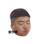pig pig ting（個別スタンプ：8）