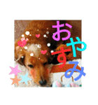 クルミとチャビ②（個別スタンプ：22）