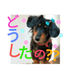 クルミとチャビ②（個別スタンプ：23）