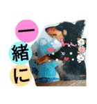 クルミとチャビ②（個別スタンプ：27）