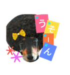 クルミとチャビ②（個別スタンプ：33）
