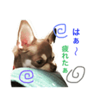 とむち（個別スタンプ：2）