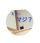 しろい先輩2（個別スタンプ：11）