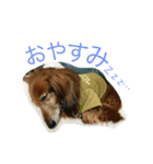 パルの生活（個別スタンプ：1）