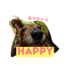 パルの生活（個別スタンプ：6）