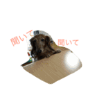 パルの生活（個別スタンプ：10）