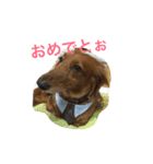 パルの生活（個別スタンプ：20）