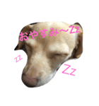 Nana777（個別スタンプ：4）