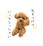 Lovely Pet Dogs 2（個別スタンプ：3）