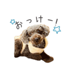 Lovely Pet Dogs 2（個別スタンプ：9）