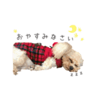 Lovely Pet Dogs 2（個別スタンプ：10）