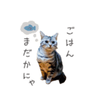 Lovely Pet Dogs 2（個別スタンプ：15）