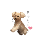 Lovely Pet Dogs 2（個別スタンプ：19）