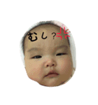 さらの毎日2（個別スタンプ：10）