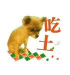 ポメラニアン-ニウエ（個別スタンプ：5）