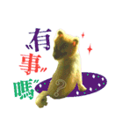 ポメラニアン-ニウエ（個別スタンプ：6）